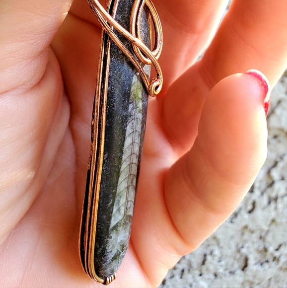 New Oversized Orthoceras Fossil Wire Wrapped Pendant. - Picture 8 of 15